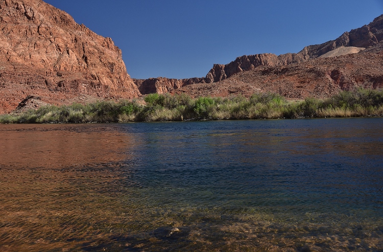 The Colorado River at Lees Ferry